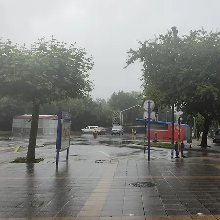 Lauxeta Berria