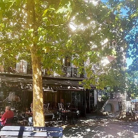Lauxeta Berria