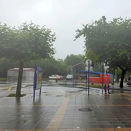 Lauxeta Berria 2*